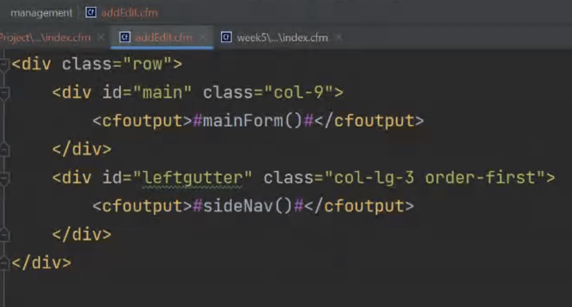a screenshot that's a little pixelated, of part of a cfm file describing a portion of a form